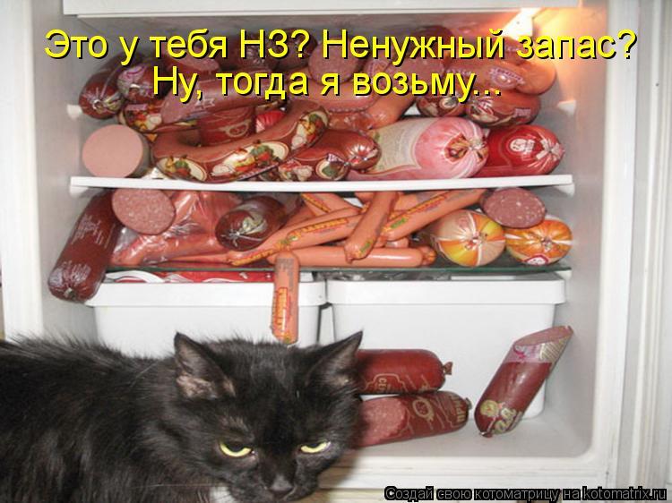 Котоматрица: Это у тебя НЗ? Ненужный запас? Ну, тогда я возьму...