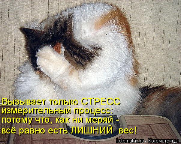 Котоматрица: Вызывает только СТРЕСС  измерительный процесс: потому что, как ни меряй -  всё равно есть ЛИШНИЙ  вес!