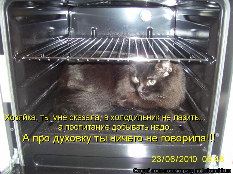Хозяйка, ты мне сказала, в холодильник не лазить... а пропитание добывать надо... А про духовку ты ни... Котоматрица: Хозяйка, ты мне сказала, в холодильник не лазить... а пропитание добывать надо... А про духовку ты ничего не говорила!!!