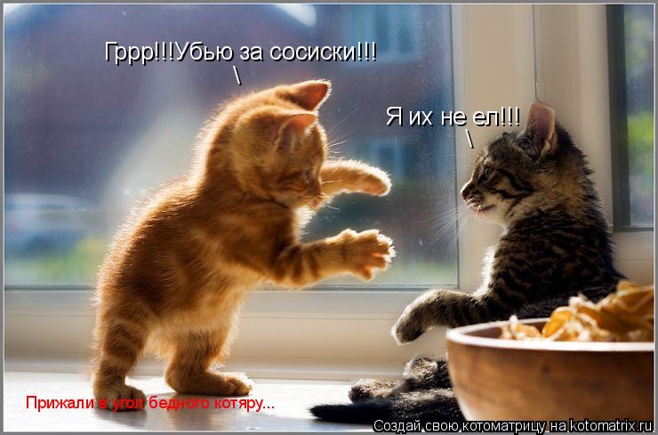 Гррр!!!Убью за сосиски!!! \ Я их не ел!!! \ Прижали в угол бедного котяру...... Котоматрица: Гррр!!!Убью за сосиски!!! \ Я их не ел!!! \ Прижали в угол бедного котяру...