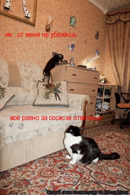 не...от меня не убежишь всё равно за сосиски ответишь!... Котоматрица: не...от меня не убежишь всё равно за сосиски ответишь!