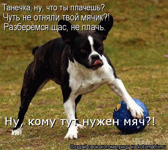 Танечка, ну, что ты плачешь? Чуть не отняли твой мячик?! Разберёмся щас, не плачь. Ну, кому тут нужен... Котоматрица: Танечка, ну, что ты плачешь? Чуть не отняли твой мячик?! Разберёмся щас, не плачь. Ну, кому тут нужен мяч?!