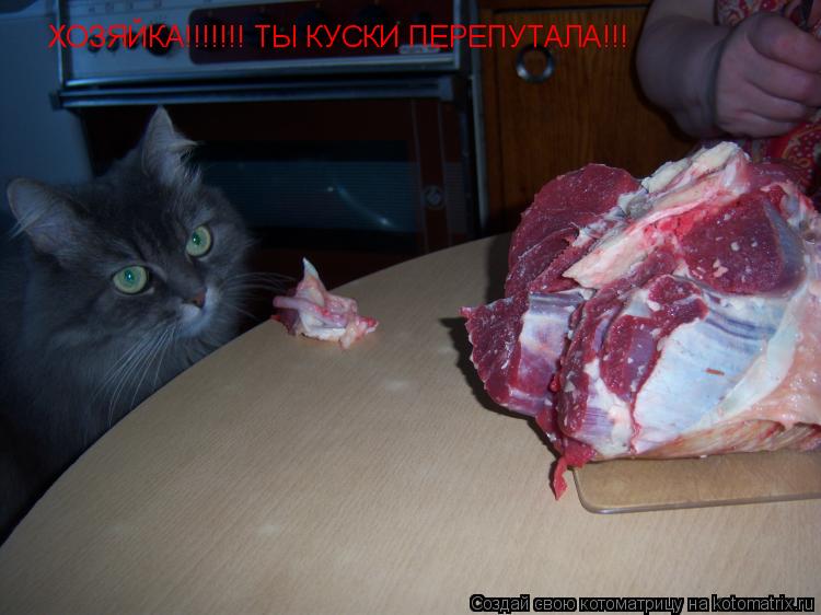 Котоматрица: ХОЗЯЙКА!!!!!!! ТЫ КУСКИ ПЕРЕПУТАЛА!!!