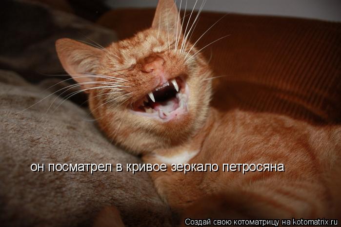 Котоматрица: он посматрел в кривое зеркало петросяна