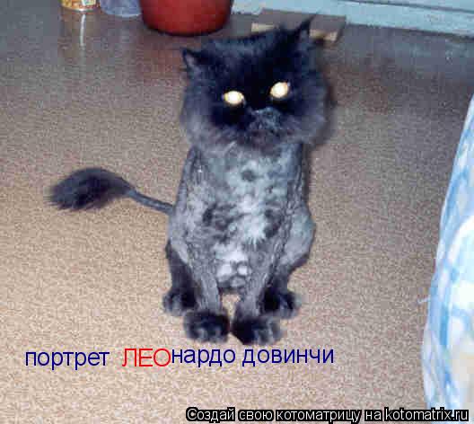 Котоматрица: портрет ЛЕО нардо довинчи