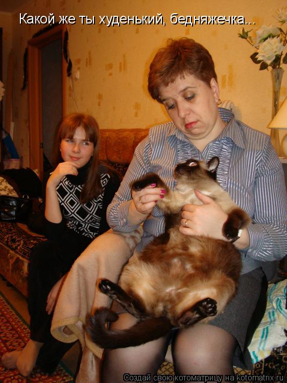 Котоматрица: Какой же ты худенький, бедняжечка...