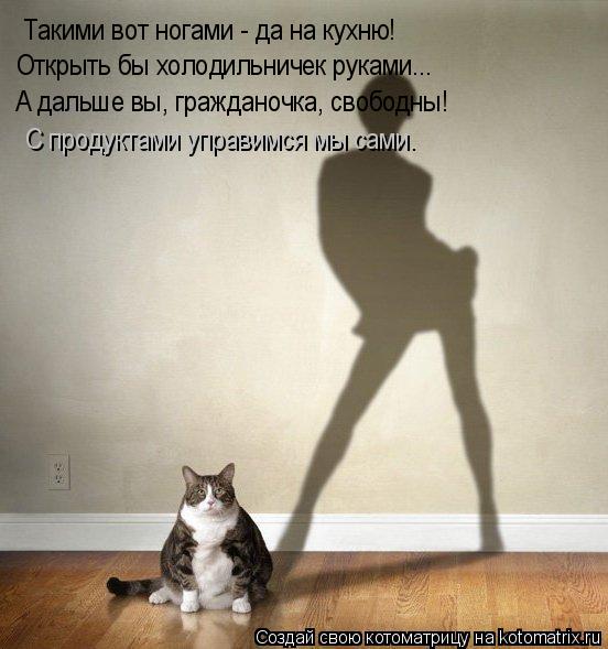 Такими вот ногами - да на кухню! Открыть бы холодильничек руками... А дальше вы, гражданочка, свободн... Котоматрица: Такими вот ногами - да на кухню! Открыть бы холодильничек руками... А дальше вы, гражданочка, свободны! С продуктами управимся мы сами.