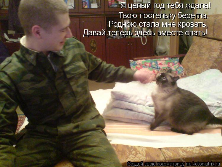 Я целый год тебя ждала! Твою постельку берегла. Родною стала мне кровать, Давай теперь здесь вместе с... Котоматрица: Я целый год тебя ждала! Твою постельку берегла. Родною стала мне кровать, Давай теперь здесь вместе спать!
