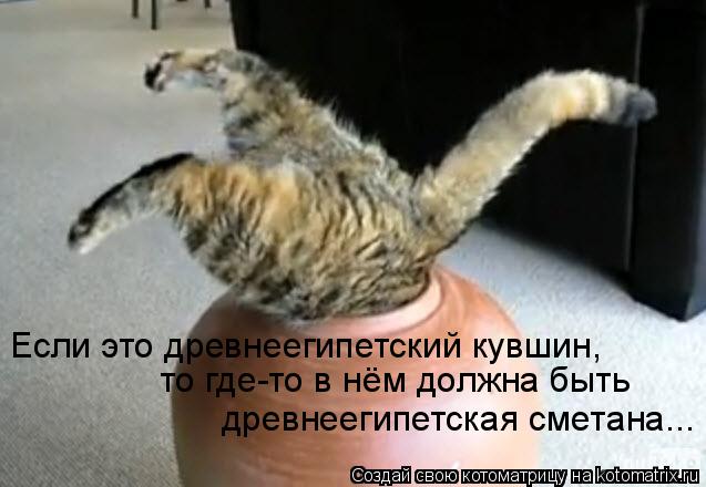 Если это древнеегипетский кувшин, то где-то в нём должна быть древнеегипетская сметана...... Котоматрица: Если это древнеегипетский кувшин, то где-то в нём должна быть древнеегипетская сметана...