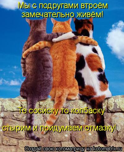Мы с подругами втроём замечательно живём! То сосиску то колбаску стырим и придумаем отмазку!... Котоматрица: Мы с подругами втроём замечательно живём! То сосиску то колбаску стырим и придумаем отмазку!