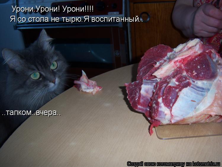Котоматрица: Урони.Урони! Урони!!!! Я со стола не тырю.Я воспитанный.. ..тапком..вчера..