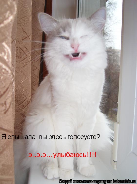 Котоматрица: Я слышала, вы здесь голосуете? э..э.э...улыбаюсь!!!!