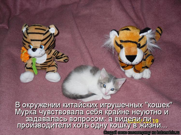 В окружении китайских игрушечных "кошек" Мурка чувствовала себя крайне неуютно и задавалась вопросом... Котоматрица: В окружении китайских игрушечных "кошек" Мурка чувствовала себя крайне неуютно и задавалась вопросом: а видели ли производители хоть одну