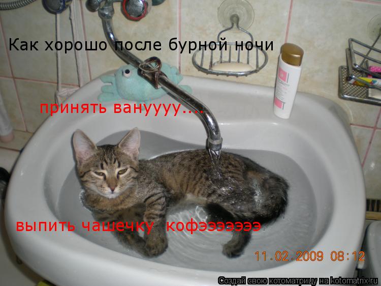 Как хорошо после бурной ночи принять вануууу.... выпить чашечку кофэээээээ... Котоматрица: Как хорошо после бурной ночи принять вануууу.... выпить чашечку кофэээээээ
