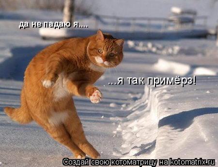 да не падаю я.... ...я так примёрз!... Котоматрица: да не падаю я.... ...я так примёрз!