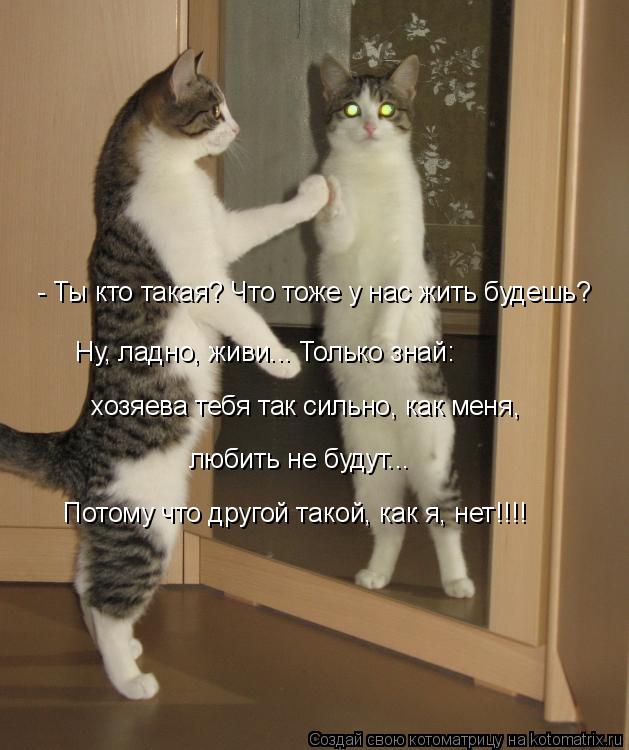 Котоматрица: - Ты кто такая? Что тоже у нас жить будешь? Ну, ладно, живи... Только знай: хозяева тебя так сильно, как меня,  любить не будут... Потому что другой