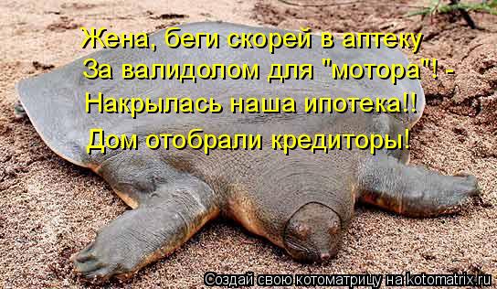 Жена, беги скорей в аптеку За валидолом для "мотора"! - Накрылась наша ипотека!! Дом отобрали кредито... Котоматрица: Жена, беги скорей в аптеку За валидолом для "мотора"! - Накрылась наша ипотека!! Дом отобрали кредиторы!