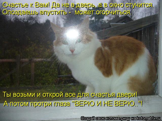 Котоматрица: Счастье к Вам! Да не в дверь, а в окно стучится. Опоздаешь впустить -  может огорчиться. Ты возьми и открой все для счастья двери! А потом протр