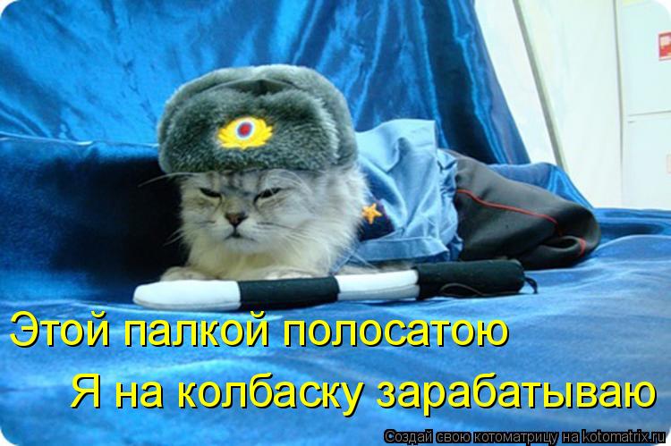 Этой палкой полосатою Я на колбаску зарабатываю... Котоматрица: Этой палкой полосатою Я на колбаску зарабатываю