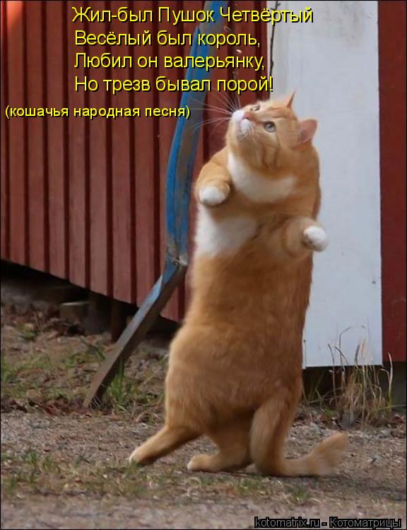 Жил-был Пушок Четвёртый Весёлый был король, Любил он валерьянку, Но трезв бывал порой! (кошачья народ... Котоматрица: Жил-был Пушок Четвёртый Весёлый был король, Любил он валерьянку, Но трезв бывал порой! (кошачья народная песня)