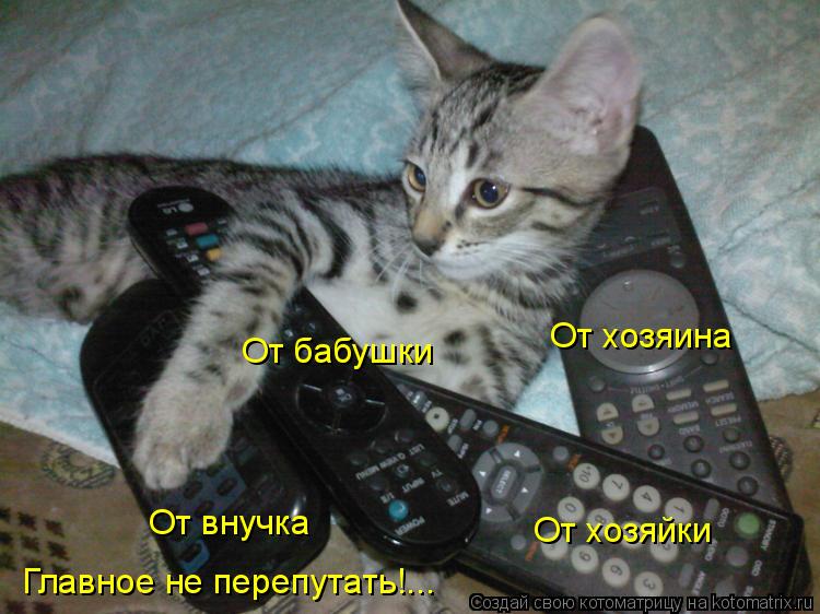 От хозяина От хозяйки От бабушки Главное не перепутать!... От внучка... Котоматрица: От хозяина От хозяйки От бабушки Главное не перепутать!... От внучка
