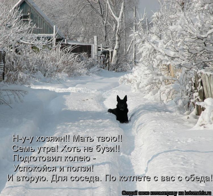 Н-у-у хозяин!! Мать твою!! Семь утра! Хоть не бузи!! Подготовил колею - Успокойся и ползи! И вторую. ... Котоматрица: Н-у-у хозяин!! Мать твою!! Семь утра! Хоть не бузи!! Подготовил колею - Успокойся и ползи! И вторую. Для соседа. По котлете с вас с обеда!