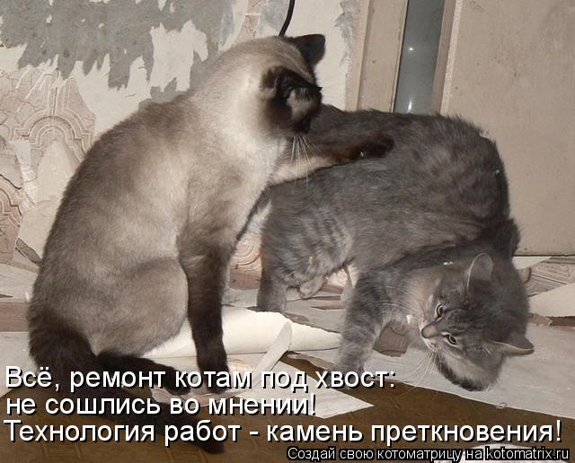 Всё, ремонт котам под хвост: Технология работ - камень преткновения! не сошлись во мнении!... Котоматрица: Всё, ремонт котам под хвост: Технология работ - камень преткновения! не сошлись во мнении!