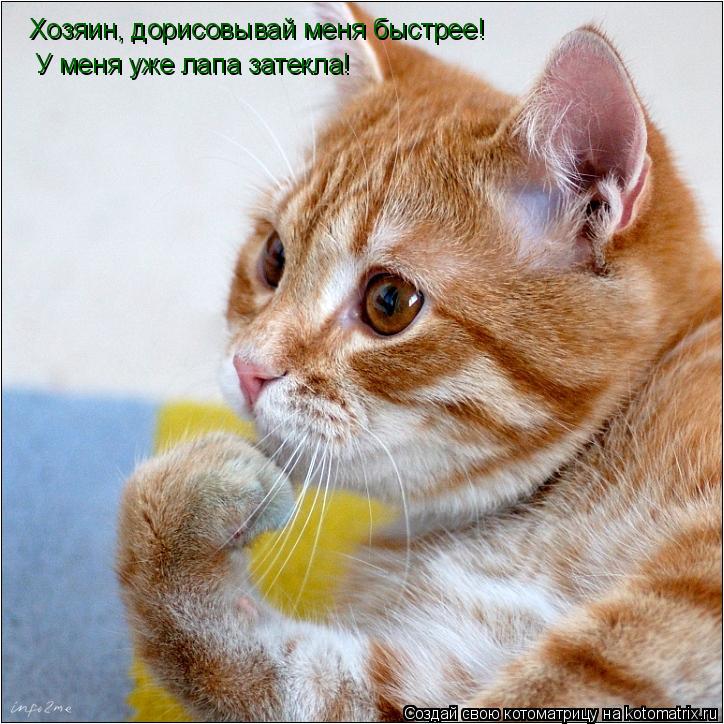 Котоматрица: Хозяин, дорисовывай меня быстрее! У меня уже лапа затекла!