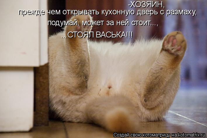 -ХОЗЯИН, прежде чем открывать кухонную дверь с размаху, подумай, может за ней стоит..., ...СТОЯЛ В... Котоматрица: -ХОЗЯИН, прежде чем открывать кухонную дверь с размаху, подумай, может за ней стоит..., ...СТОЯЛ ВАСЬКА!!!