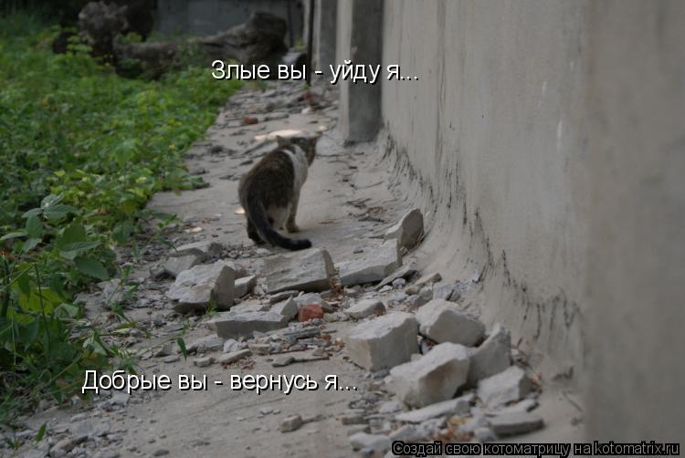 Злые вы - уйду я... Добрые вы - вернусь я...... Котоматрица: Злые вы - уйду я... Добрые вы - вернусь я...