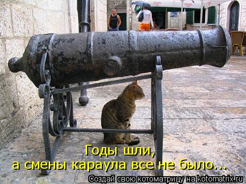 Годы шли, а смены караула все не было...... Котоматрица: Годы шли, а смены караула все не было...