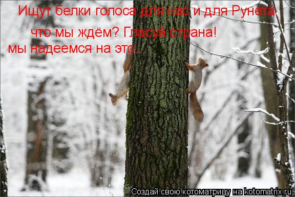 что мы ждём? Гласуй страна! что мы ждём? Гласуй страна! Ищут белки голоса для нас и для Рунета, мы на... Котоматрица: что мы ждём? Гласуй страна! что мы ждём? Гласуй страна! Ищут белки голоса для нас и для Рунета, мы надеемся на это...