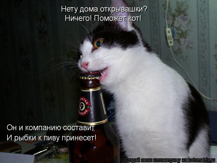 Нету дома открывашки? Ничего! Поможет кот! Он и компанию составит И рыбки к пиву принесет!... Котоматрица: Нету дома открывашки? Ничего! Поможет кот! Он и компанию составит И рыбки к пиву принесет!