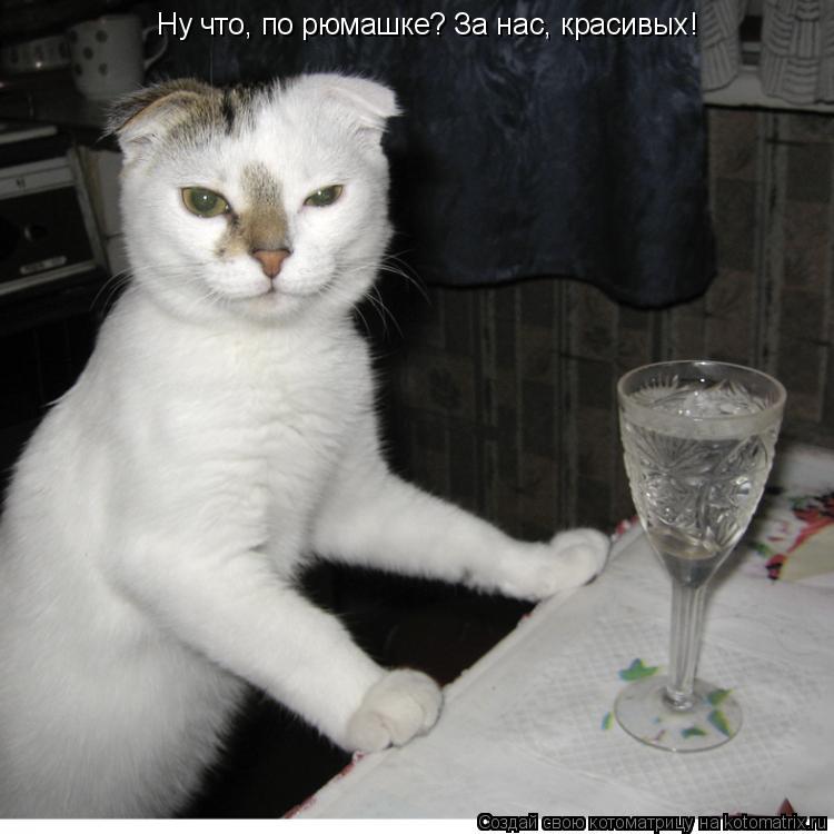 Поздравление а не выпить ли нам по рюмашке Поздравление а не выпить ли нам по рюмашке