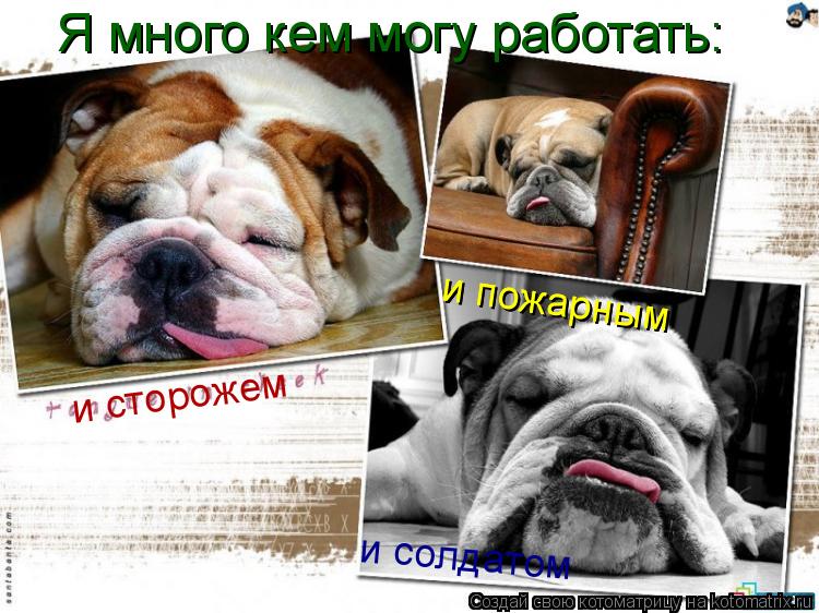 Я много кем могу работать: и сторожем и пожарным и пожарным и солдатом... Котоматрица: Я много кем могу работать: и сторожем и пожарным и пожарным и солдатом