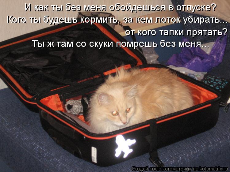 И как ты без меня обойдешься в отпуске? Кого ты будешь кормить, за кем лоток убирать... от кого тапк... Котоматрица: И как ты без меня обойдешься в отпуске? Кого ты будешь кормить, за кем лоток убирать... от кого тапки прятать? Ты ж там со скуки помрешь без ме