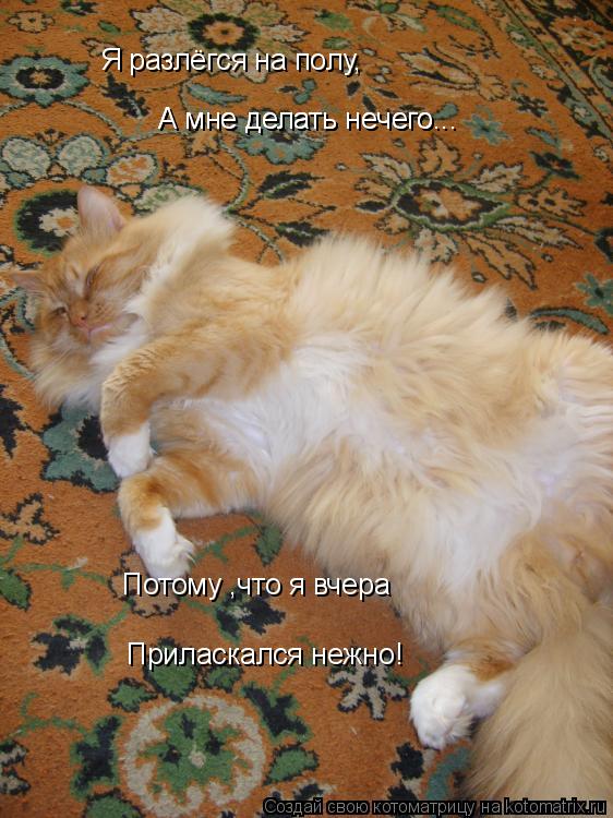 Я разлёгся на полу, А мне делать нечего... А мне делать нечего... Потому ,что я вчера Приласкался неж... Котоматрица: Я разлёгся на полу, А мне делать нечего... А мне делать нечего... Потому ,что я вчера Приласкался нежно!