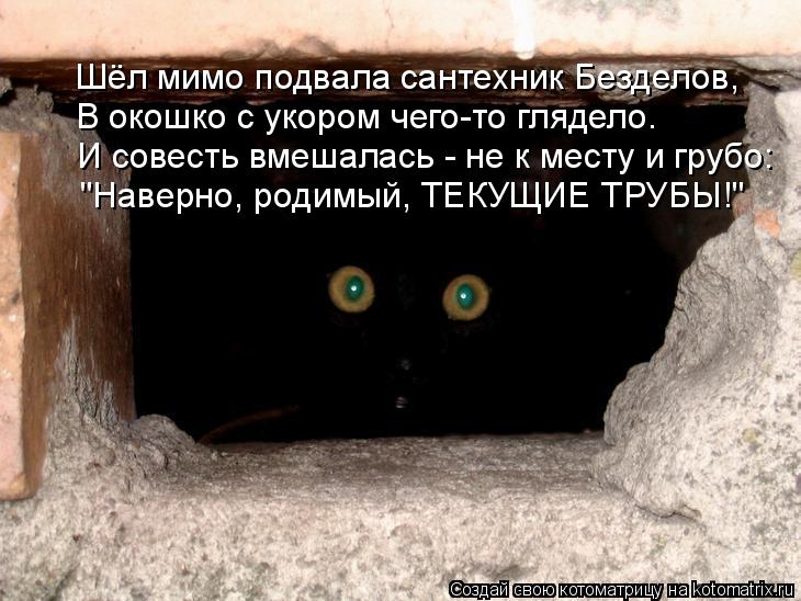 Шёл мимо подвала сантехник Безделов, В окошко с укором чего-то глядело. И совесть вмешалась - не к ме... Котоматрица: Шёл мимо подвала сантехник Безделов, В окошко с укором чего-то глядело. И совесть вмешалась - не к месту и грубо: "Наверно, родимый, ТЕКУЩИЕ ТР