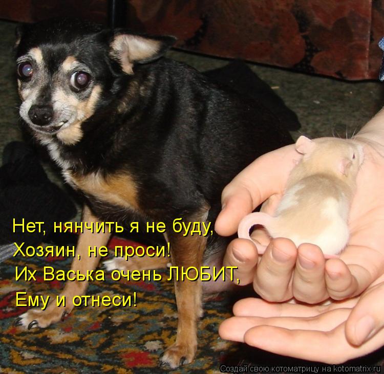 Нет, нянчить я не буду, Хозяин, не проси! Их Васька очень ЛЮБИТ, Ему и отнеси!... Котоматрица: Нет, нянчить я не буду, Хозяин, не проси! Их Васька очень ЛЮБИТ, Ему и отнеси!