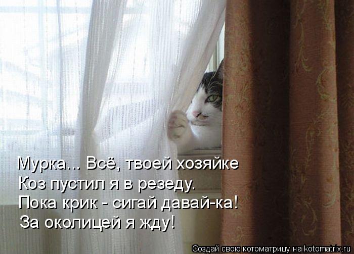Мурка... Всё, твоей хозяйке Коз пустил я в резеду. Пока крик - сигай давай-ка! За околицей я жду!... Котоматрица: Мурка... Всё, твоей хозяйке Коз пустил я в резеду. Пока крик - сигай давай-ка! За околицей я жду!