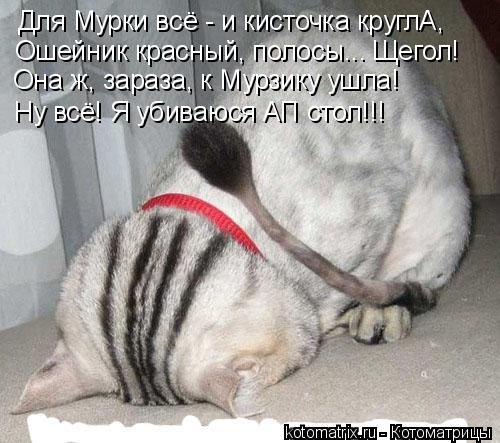 Для Мурки всё - и кисточка круглА, Ну всё! Я убиваюся АП стол!!! Ошейник красный, полосы... Щегол! Он... Котоматрица: Для Мурки всё - и кисточка круглА, Ну всё! Я убиваюся АП стол!!! Ошейник красный, полосы... Щегол! Она ж, зараза, к Мурзику ушла!