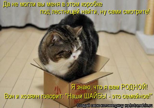 Да не могли вы меня в этом коробке под лестницей найти, ну сами смотрите! Я знаю, что я вам РОДНОЙ! ... Котоматрица: Да не могли вы меня в этом коробке под лестницей найти, ну сами смотрите! Я знаю, что я вам РОДНОЙ! Вон и хозяин говорит: "Наши ШАЙБЫ - это семе