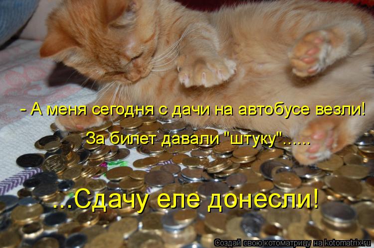 - А меня сегодня с дачи на автобусе везли! За билет давали "штуку"...... ...Сдачу еле донесли!... Котоматрица: - А меня сегодня с дачи на автобусе везли! За билет давали "штуку"...... ...Сдачу еле донесли!