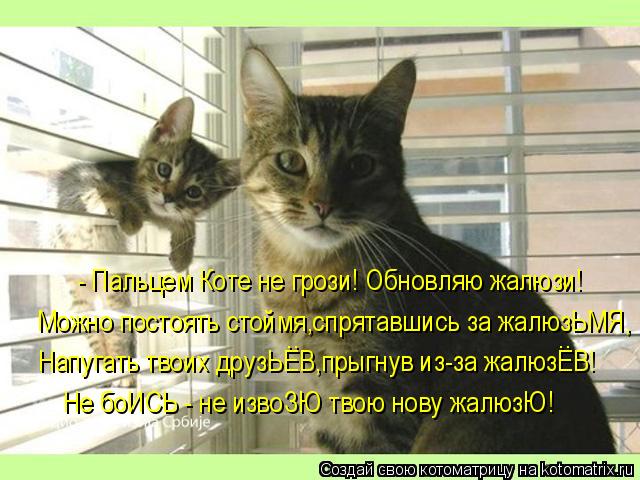 Котоматрица: Можно постоять стоймя,спрятавшись за жалюзЬМЯ, Напугать твоих друзЬЕВ,прыгнув из-за жалюзЕВ! ..                                   .. Не боИСЬ - не изв