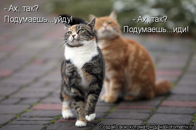 Подумаешь...уйду! - Ах, так? Подумаешь...иди! - Ах, так?... Котоматрица: Подумаешь...уйду! - Ах, так? Подумаешь...иди! - Ах, так?