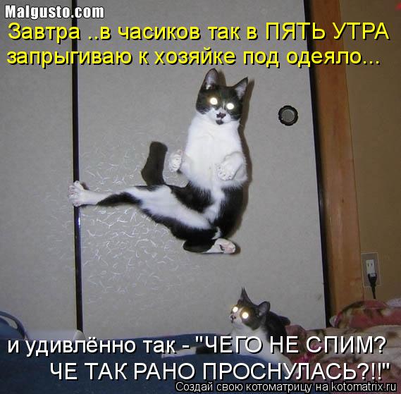 Котоматрица: Завтра ..в часиков так в ПЯТЬ УТРА запрыгиваю к хозяйке под одеяло... и удивлённо так - "ЧЕГО НЕ СПИМ? ЧЕ ТАК РАНО ПРОСНУЛАСЬ?!!"