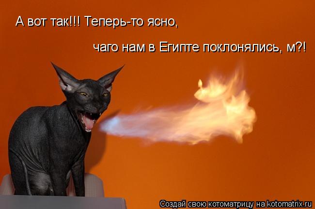 А вот так!!! Теперь-то ясно, чаго нам в Египте поклонялись, м?!... Котоматрица: А вот так!!! Теперь-то ясно, чаго нам в Египте поклонялись, м?!