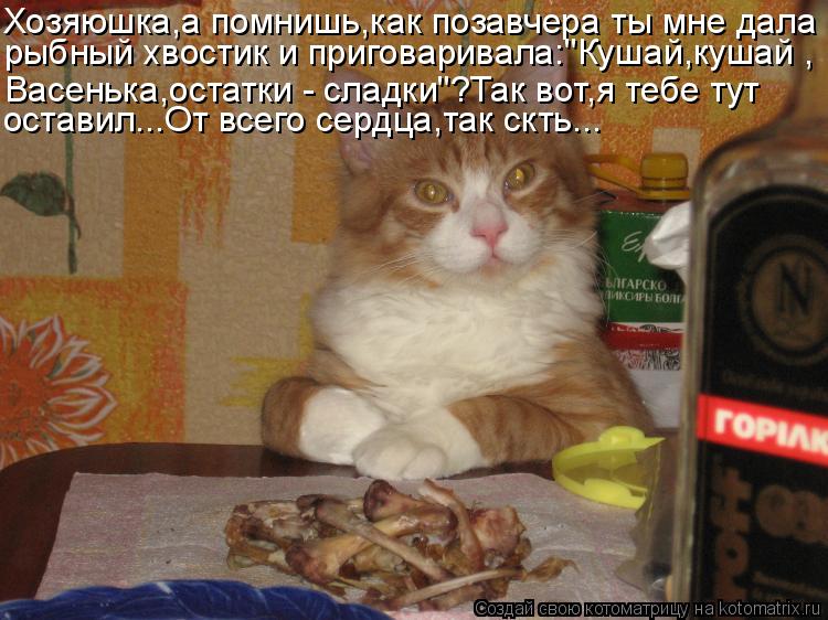 Хозяюшка,а помнишь,как позавчера ты мне дала рыбный хвостик и приговаривала:"Кушай,кушай , Васенька,о... Котоматрица: Хозяюшка,а помнишь,как позавчера ты мне дала рыбный хвостик и приговаривала:"Кушай,кушай , Васенька,остатки - сладки"?Так вот,я тебе тут оста