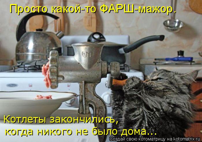 Котоматрица: Просто какой-то ФАРШ-мажор. Котлеты закончились, когда никого не было дома...