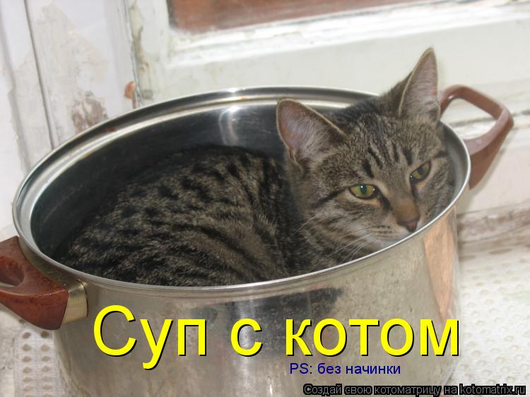 Суп с котом PS: без начинки... Котоматрица: Суп с котом PS: без начинки